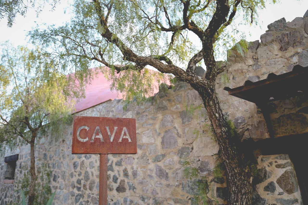Hotel Camino De Vinos グアナファト エクステリア 写真